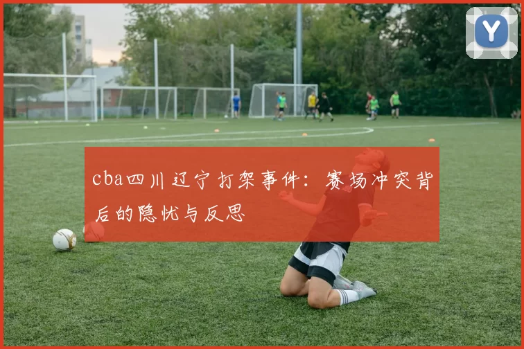 cba四川辽宁打架事件：赛场冲突背后的隐忧与反思