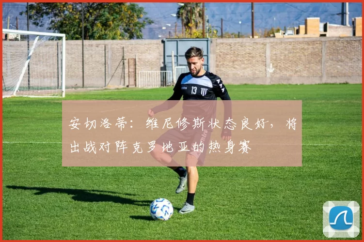 安切洛蒂:维尼修斯状态良好,将出战对阵克罗地亚的热身赛