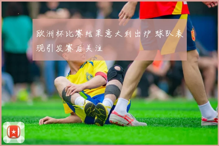 欧洲杯比赛结果意大利出炉 球队表现引发赛后关注
